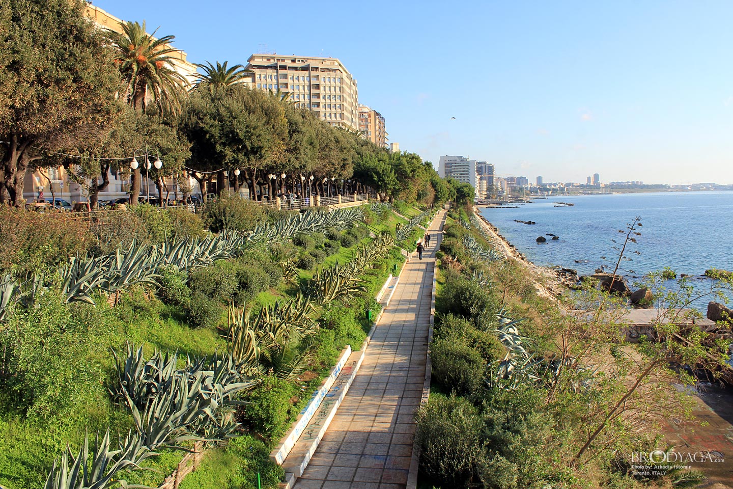Taranto